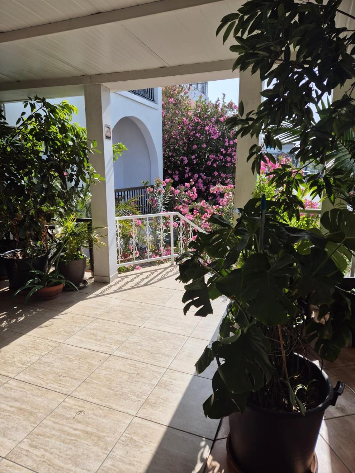 Myriama Apartments Agia Napa Buitenkant foto
